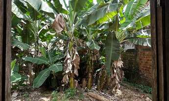 Imagem 5: Vendo casa com terreno 10x30