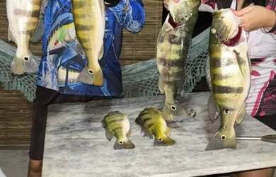 Imagem 4: Ótimos lotes na Serra da Mesa, apenas 4,7km de estrada de chão