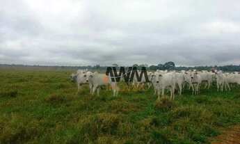 Imagem: Fazenda à venda, 21000 m² por R$ 450.000.000,00