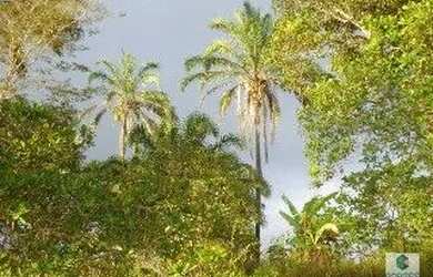 Imagem 2: JAGUARIPE - RURAL - ZONA RURAL