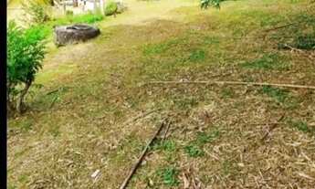 Imagem 2: AREA - PARQUE DOS JACARANDÁS - SP