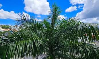 Imagem 5: Apartamento de 2 quartos à venda - Córrego Grande