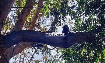 Imagem 4: Chácara à venda, 3700 m² por R$ 1.550.000,00 - Vila Jaraguá - São Paulo/SP