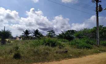 Imagem 7: Lote medindo 432 m² no Loteamento RGA, no Mosqueiro