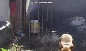 Imagem 4: Casa no bairro Nossa sra da apresentação