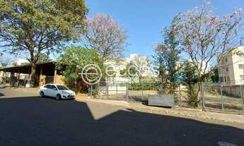 Imagem 3: Imóvel Comercial para aluguel, Patrimônio - Uberlândia/MG