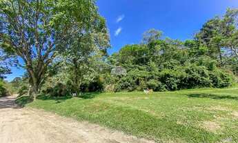 Imagem 3: Vendas Chácara Mandirituba PR