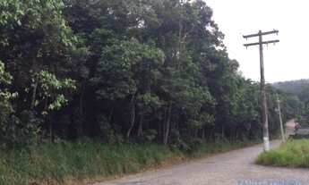 Imagem 2: AREA - PARQUE MARINGÁ - SP