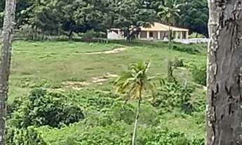 Imagem 4: Fazenda São João Evangelista