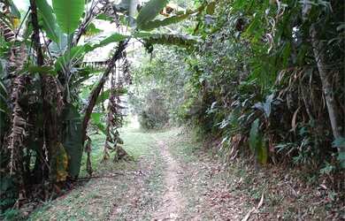 Imagem 6: Terreno à venda em Rio Grande - SP