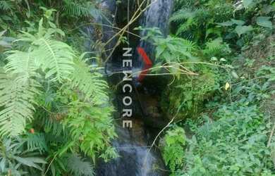 Imagem: Sítio em Ribeira - Centro - Ribeira/SP