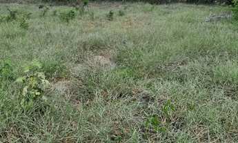 Imagem 3: Venda ou troca por carro