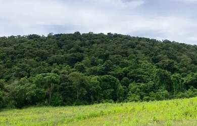 Imagem 3: Imóvel para venda com 500 metros quadrados em Ressaca - Ibiúna - SP