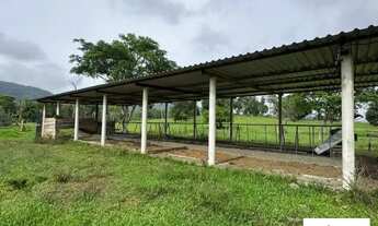 Imagem 4: Áreas à venda em rua pública, CENTRO, Coaraci, BA