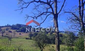 Imagem 6: Lote em Estrada da cruzinha - Cruzinha - São Francisco de Paula/RS