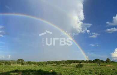 Imagem 2: Fazenda dupla aptidão - Bom Jardim de Goiás
