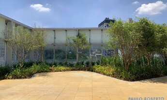 Imagem 6: COMERCIAL - PINHEIROS - SP