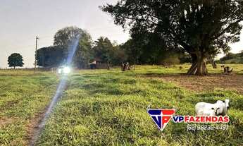 Imagem 4: FAZENDINHA 6 ALQUEIRES MUNICÍPIO DE ARAÇU-GO