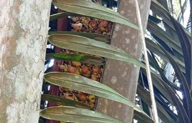 Imagem 6: Vendo sítio no km 41, am 010