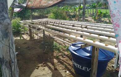 Imagem 6: Vendo sítio com 30 tarefas de terra mais casas