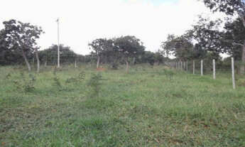 Imagem 6: Linda chácara de 20 mil metros, Jaboticatubas (Temos varias opções