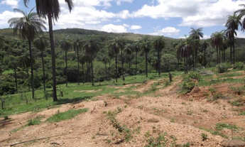 Imagem 6: Lindo terreno rural de 41 hectares na MG-10,Serra do Cipó (Temos varias opções