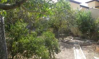 Imagem 7: Vista para lagoa