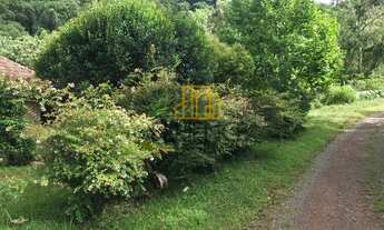 Imagem 7: Sítio à venda, 2 quartos, Santa Luiza - Carlos Barbosa/RS