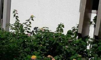 Imagem 2: SÃO JOSÉ DO RIO PRETO - Apartamento Padrão - CENTRO