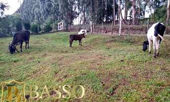Imagem 2: Fazenda/Sítio/Chácara para venda com 10000 metros quadrados em Criúva