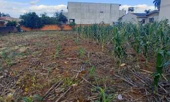 Imagem: DOIS IRMÃOS - Terreno Padrão - Floresta
