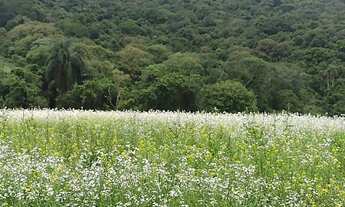 Imagem 6: Terreno com vista incrivel para a natureza