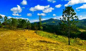 Imagem 7: Imóvel para venda tem 1000 metros quadrados em Barreiro - Mairiporã - São Paulognhf