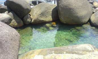 Imagem 6: Costeira espetacular