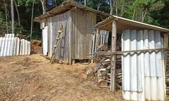 Imagem: SCHALFER amp ASSOCIADOS APRESENTA