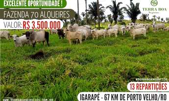 Imagem: FAZENDA 70 ALQUEIRES- 60 ALQUEIRES FORMADO