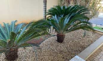 Imagem 4: ARARAQUARA - Apartamento Padrão - CENTRO