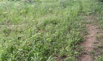 Imagem 3: 250000 Vendo ou troco por outra terra