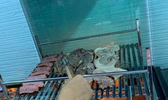 Imagem 7: Casa a venda com 2 quartos e 1 suite do jardim equatorial