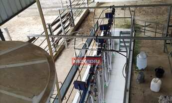 Imagem 2: Chácara 10 alqueires ( 48.4 hectares ) Vianópolis-GO