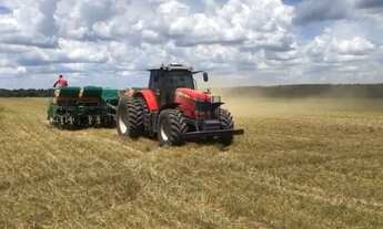 Imagem 5: Fazenda de Soja à venda em Gurupi - TO