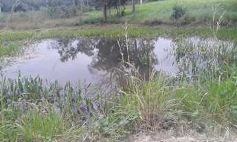 Imagem: 250000 Vendo ou troco por outra terra