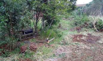 Imagem 5: TENHO PRA VENDER