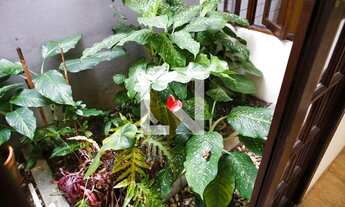 Imagem 7: Casa para Aluguel - Jardim, 4 Quartos, 120 m2