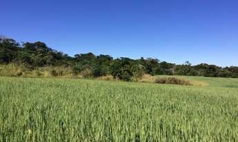 Imagem 5: ITAPETININGA - RURAL - ÁREA RURAL DE ITAPETININGA