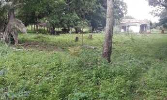 Imagem 5: 250000 Vendo ou troco por outra terra