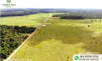 Imagem 5: FAZENDA 250 ALQUEIRES 180 ALQUEIRES EM CAPIM - PORTO VELHO/RO