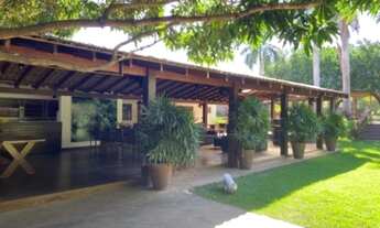 Imagem 4: Chacara dentro da cidade 6 mil m2