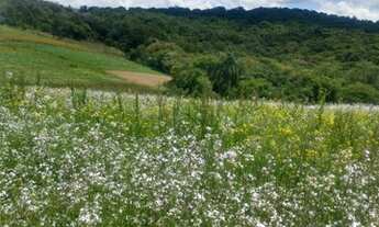 Imagem 5: Ag7- lotes de 500m2 / 15 mil de entrada