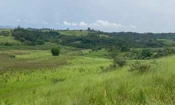 Imagem 5: Região de terra fértil